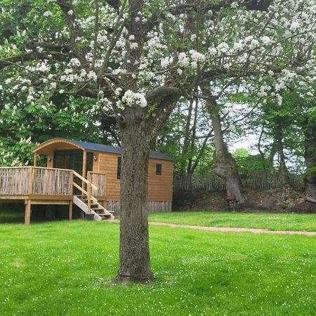 Roulotte Escapade Nature A Morainville - Normandie エクステリア 写真